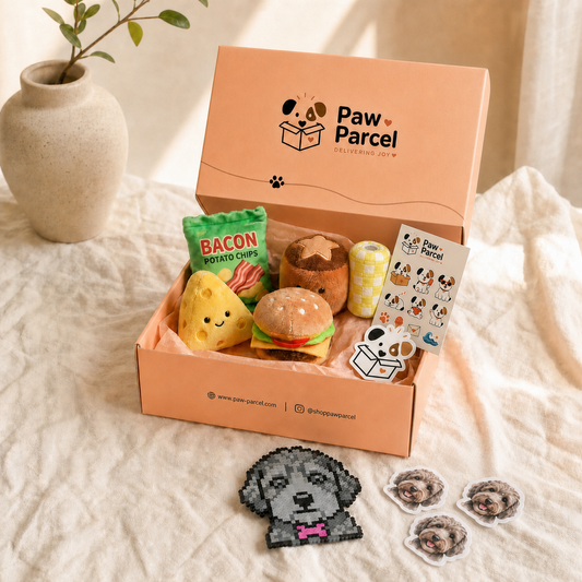 The Surprise Parcel
