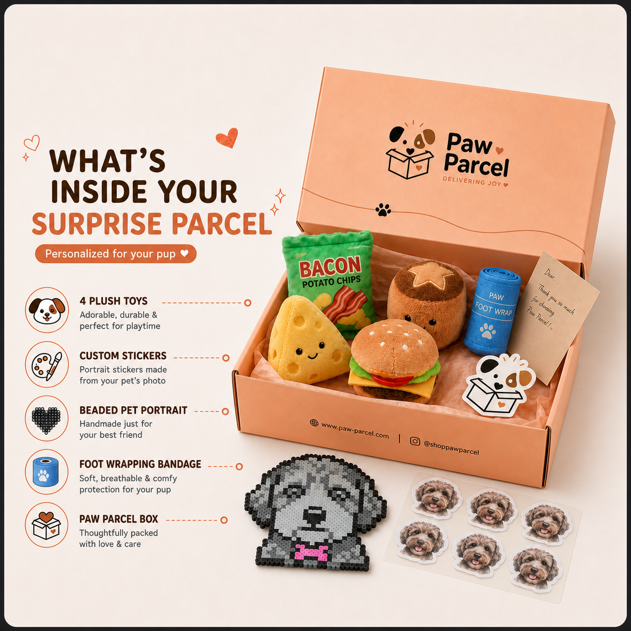 The Surprise Parcel